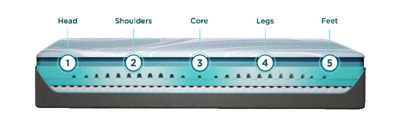 Adapt mattress without the cover showing the inside layers point out the 5 zones of the ergonomic layer