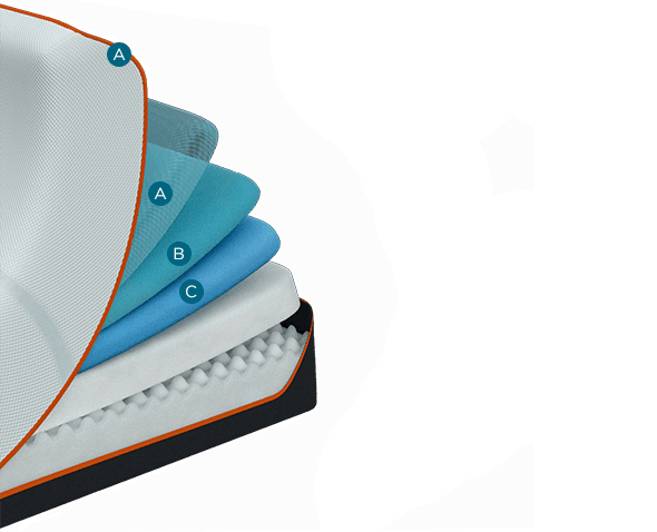 luxeadapt-firm-featured2.width-600.png